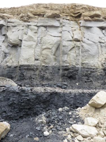 Coals of the E Seam exposed in an open cut mine, near Carolina, Mpumalanga, South Africa