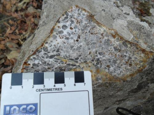 Deformed oolites in limestone of the Mwaysha Formation, western copper-belt, DRC