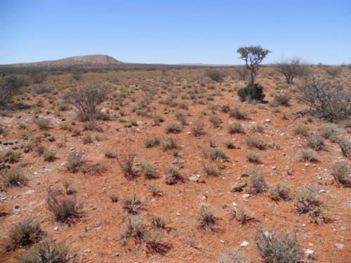 View of red sand of the Gordonia Formation, overlying metasediments of the Namaqua-Natal Belt, Northern Cape, South Africa