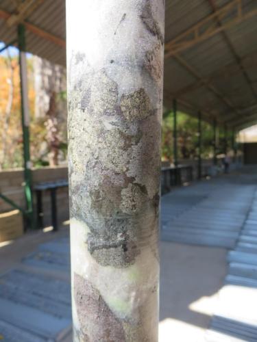Sulphide mineralisation in core from an IROP (iron-rich olivine pipe), eastern limb of the Bushveld Complex, South Africa