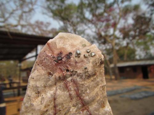 Core exhibiting copper sulphide materialisation hosted in carbonates, western copper-belt, DRC 